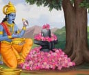 Chaturdashi Shraddha